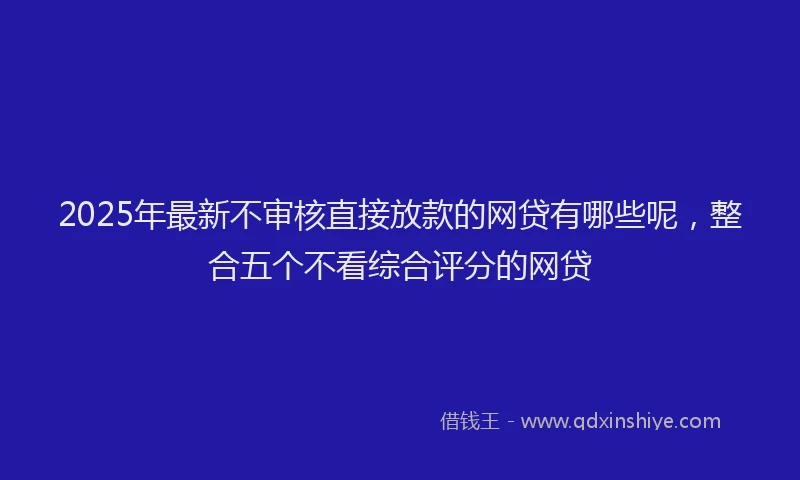2025年最新不审核直接放款的网贷有哪些呢，整合五个不看综合评分的网贷