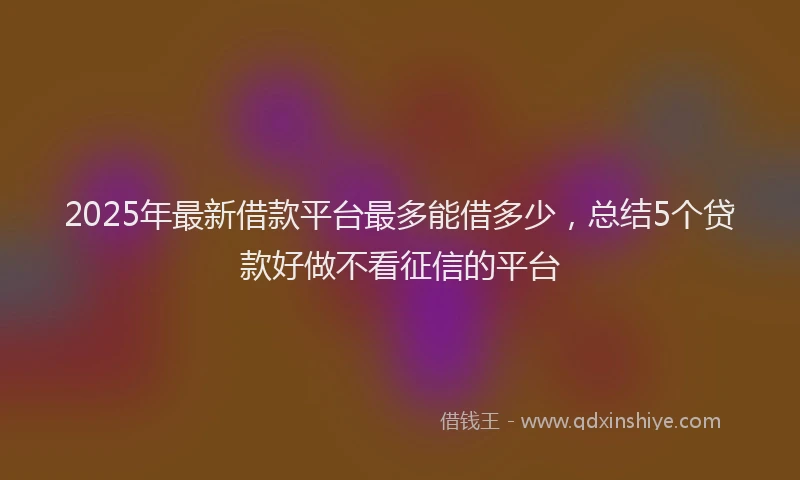 2025年最新借款平台最多能借多少，总结5个贷款好做不看征信的平台