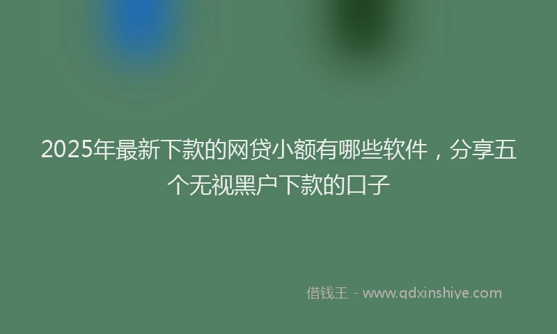2025年最新下款的网贷小额有哪些软件，分享五个无视黑户下款的口子