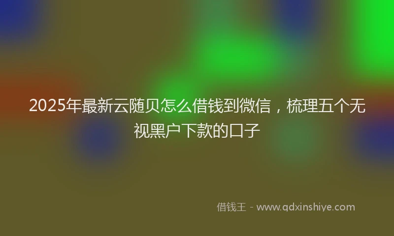 2025年最新云随贝怎么借钱到微信，梳理五个无视黑户下款的口子