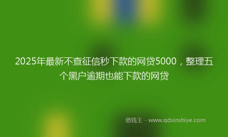 2025年最新不查征信秒下款的网贷5000，整理五个黑户逾期也能下款的网贷