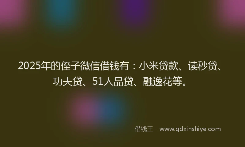 2025年的侄子微信借钱有：小米贷款、读秒贷、功夫贷、51人品贷、融逸花等。