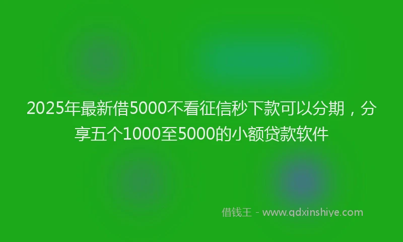 2025年最新借5000不看征信秒下款可以分期，分享五个1000至5000的小额贷款软件