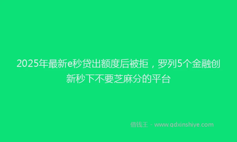 2025年最新e秒贷出额度后被拒，罗列5个金融创新秒下不要芝麻分的平台