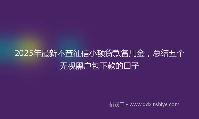 2025年最新不查征信小额贷款备用金，总结五个无视黑户包下款的口子