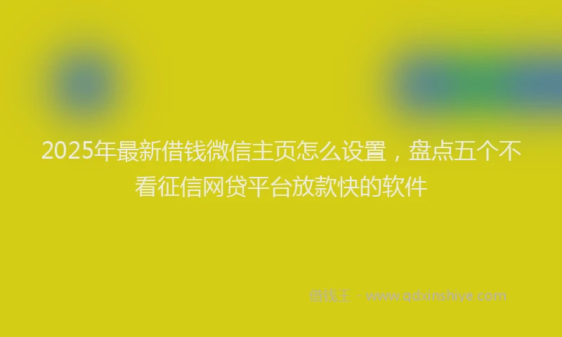 2025年最新借钱微信主页怎么设置，盘点五个不看征信网贷平台放款快的软件