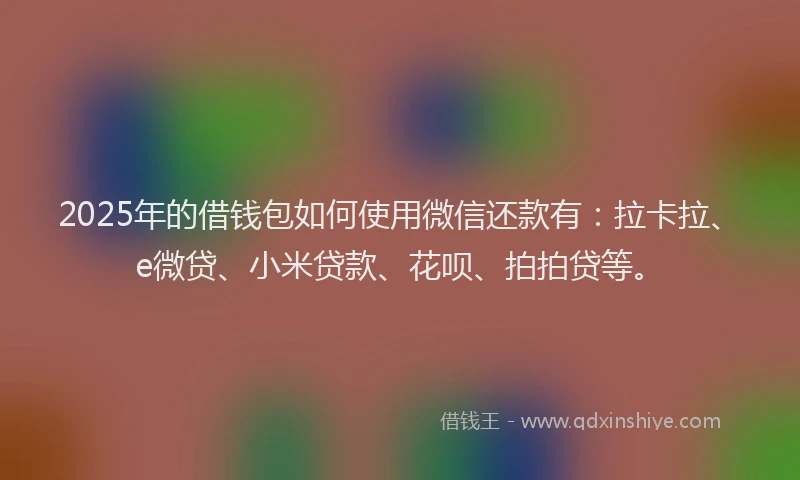 2025年的借钱包如何使用微信还款有：拉卡拉、e微贷、小米贷款、花呗、拍拍贷等。