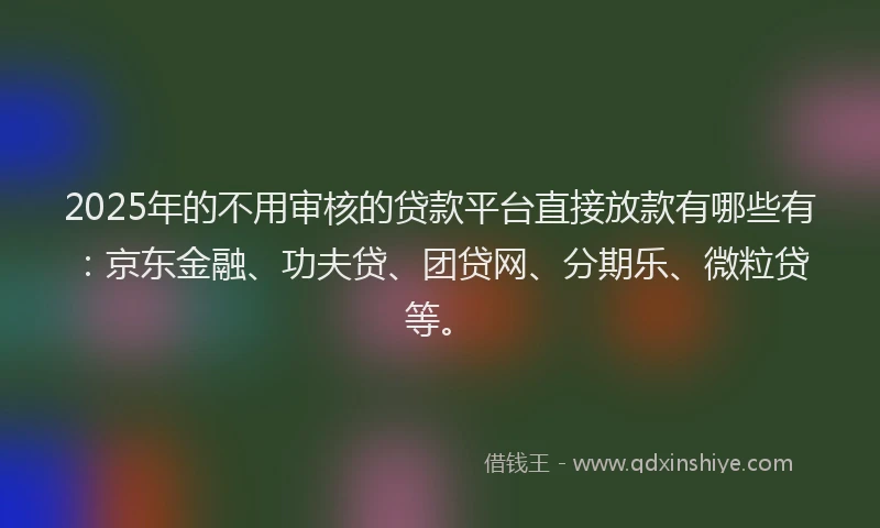 2025年的不用审核的贷款平台直接放款有哪些有：京东金融、功夫贷、团贷网、分期乐、微粒贷等。