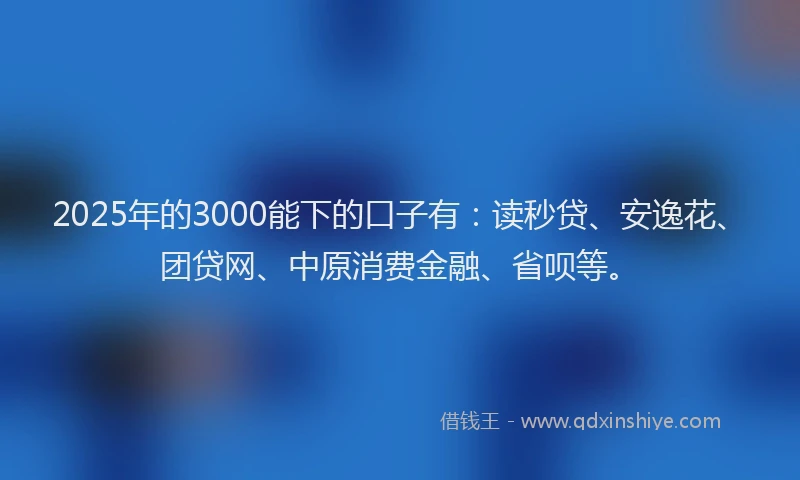 2025年的3000能下的口子有：读秒贷、安逸花、团贷网、中原消费金融、省呗等。
