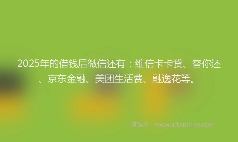 2025年的借钱后微信还有：维信卡卡贷、替你还、京东金融、美团生活费、融逸花等。