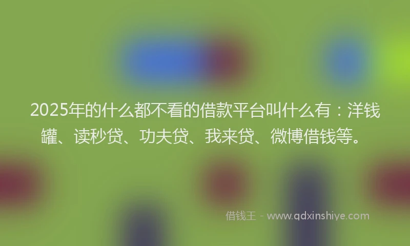 2025年的什么都不看的借款平台叫什么有：洋钱罐、读秒贷、功夫贷、我来贷、微博借钱等。
