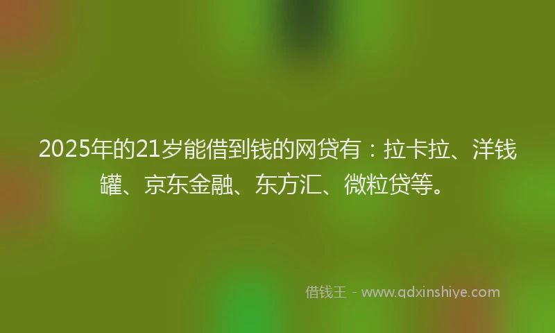 2025年的21岁能借到钱的网贷有：拉卡拉、洋钱罐、京东金融、东方汇、微粒贷等。