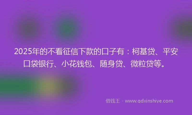 2025年的不看征信下款的口子有：柯基贷、平安口袋银行、小花钱包、随身贷、微粒贷等。