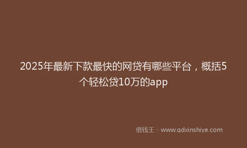 2025年最新下款最快的网贷有哪些平台，概括5个轻松贷10万的app