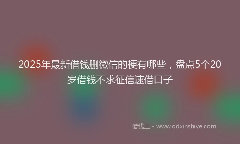 2025年最新借钱删微信的梗有哪些，盘点5个20岁借钱不求征信速借口子