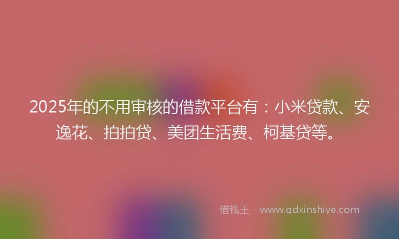 2025年的不用审核的借款平台有：小米贷款、安逸花、拍拍贷、美团生活费、柯基贷等。