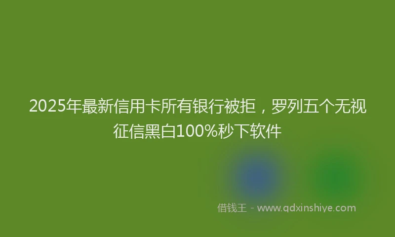 2025年最新信用卡所有银行被拒，罗列五个无视征信黑白100%秒下软件