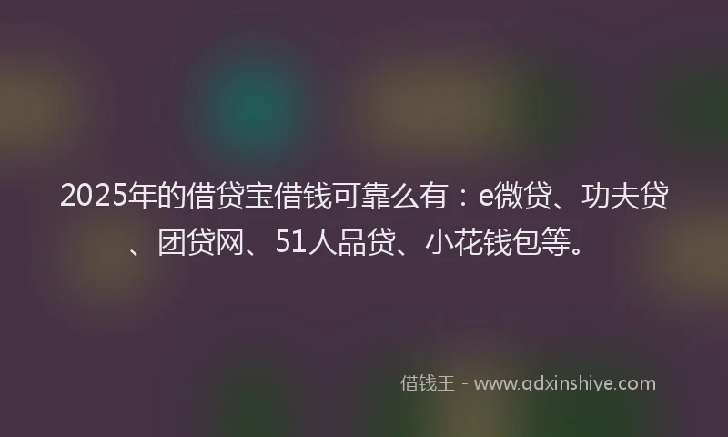 2025年的借贷宝借钱可靠么有：e微贷、功夫贷、团贷网、51人品贷、小花钱包等。