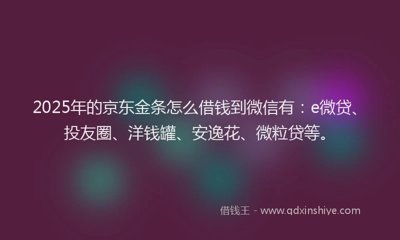 2025年的京东金条怎么借钱到微信有：e微贷、投友圈、洋钱罐、安逸花、微粒贷等。