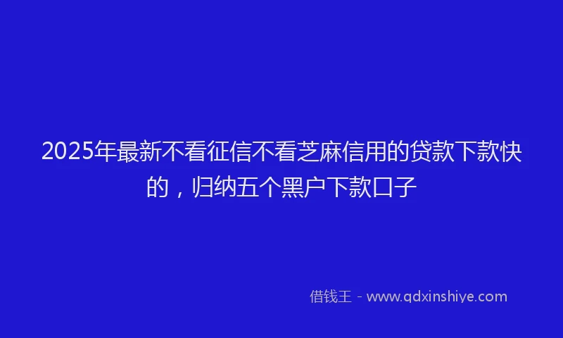 2025年最新不看征信不看芝麻信用的贷款下款快的，归纳五个黑户下款口子
