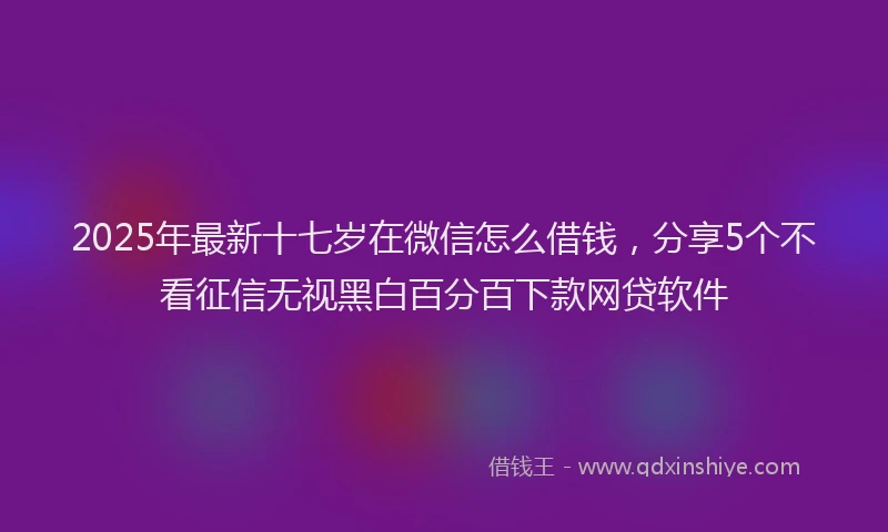 2025年最新十七岁在微信怎么借钱，分享5个不看征信无视黑白百分百下款网贷软件