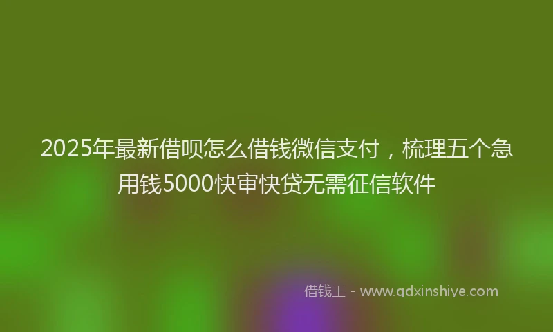 2025年最新借呗怎么借钱微信支付，梳理五个急用钱5000快审快贷无需征信软件