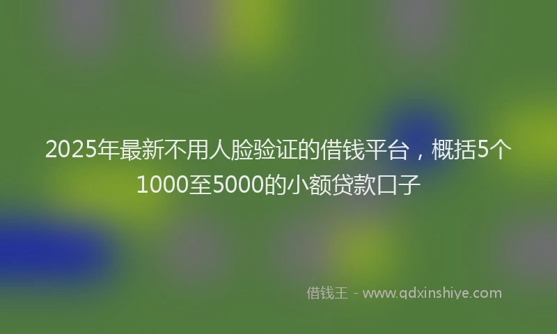2025年最新不用人脸验证的借钱平台，概括5个1000至5000的小额贷款口子