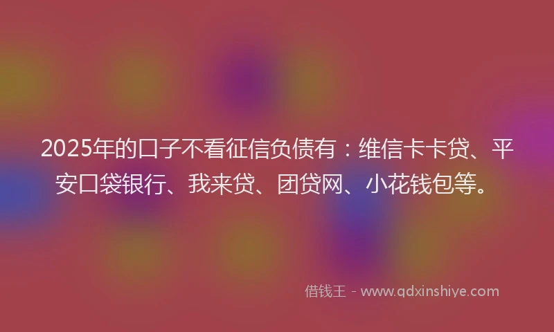 2025年的口子不看征信负债有：维信卡卡贷、平安口袋银行、我来贷、团贷网、小花钱包等。
