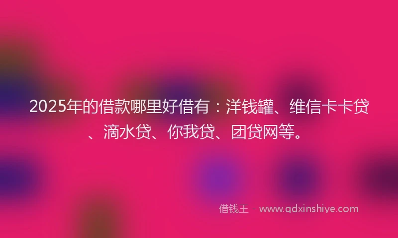 2025年的借款哪里好借有：洋钱罐、维信卡卡贷、滴水贷、你我贷、团贷网等。