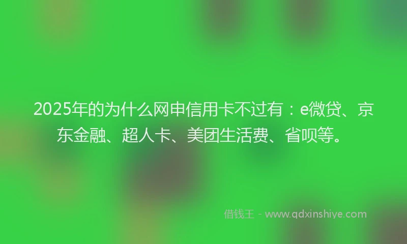 2025年的为什么网申信用卡不过有：e微贷、京东金融、超人卡、美团生活费、省呗等。