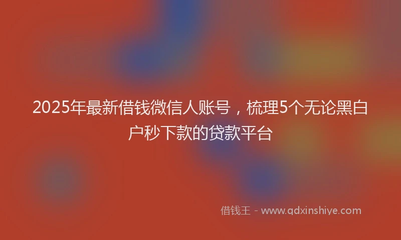 2025年最新借钱微信人账号，梳理5个无论黑白户秒下款的贷款平台