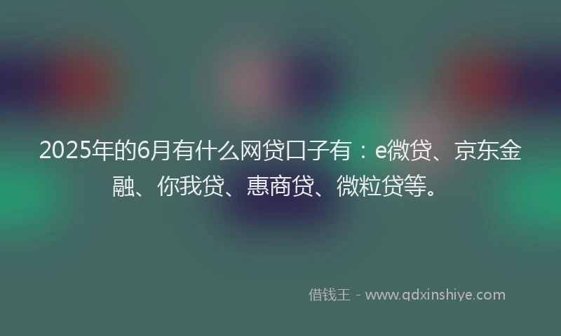 2025年的6月有什么网贷口子有：e微贷、京东金融、你我贷、惠商贷、微粒贷等。