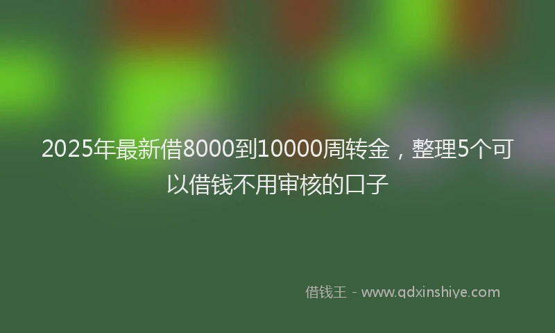 2025年最新借8000到10000周转金，整理5个可以借钱不用审核的口子