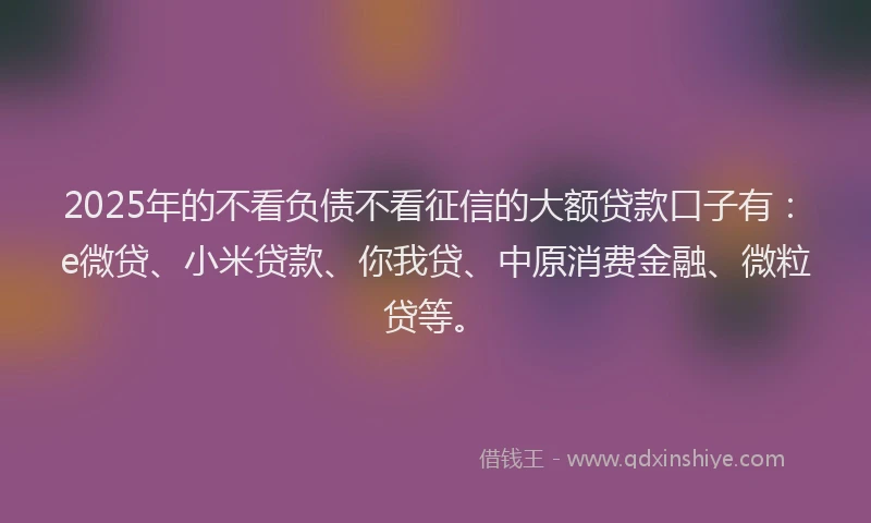 2025年的不看负债不看征信的大额贷款口子有：e微贷、小米贷款、你我贷、中原消费金融、微粒贷等。