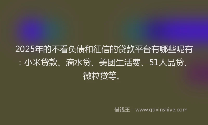 2025年的不看负债和征信的贷款平台有哪些呢有：小米贷款、滴水贷、美团生活费、51人品贷、微粒贷等。
