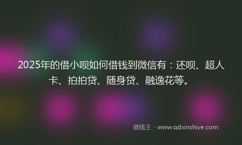 2025年的借小呗如何借钱到微信有：还呗、超人卡、拍拍贷、随身贷、融逸花等。