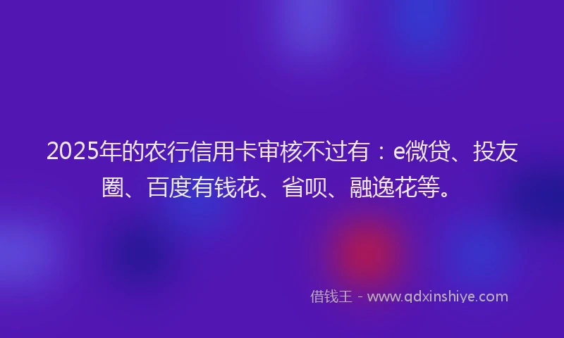 2025年的农行信用卡审核不过有：e微贷、投友圈、百度有钱花、省呗、融逸花等。