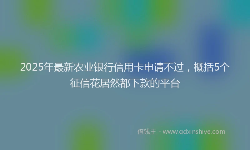 2025年最新农业银行信用卡申请不过，概括5个征信花居然都下款的平台