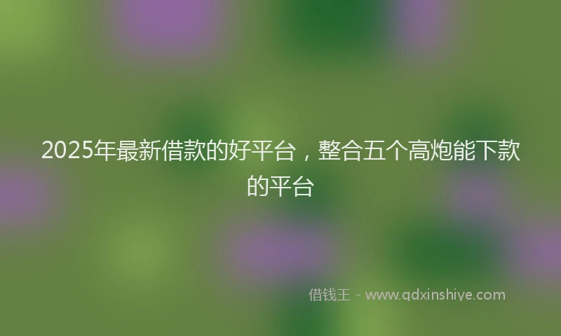2025年最新借款的好平台，整合五个高炮能下款的平台