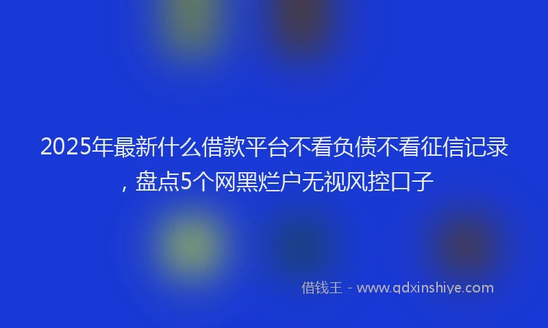 2025年最新什么借款平台不看负债不看征信记录，盘点5个网黑烂户无视风控口子