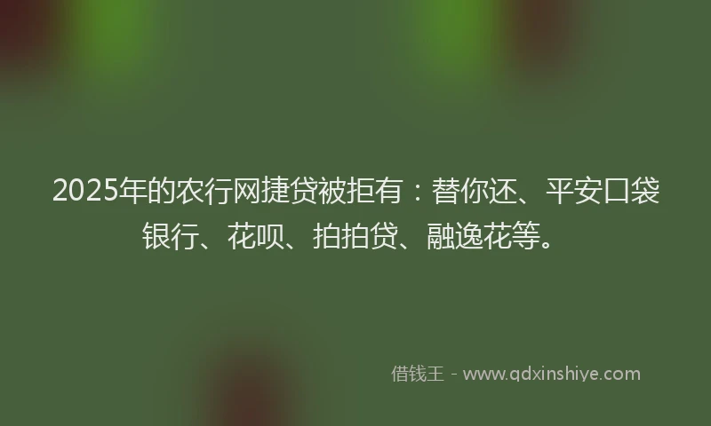 2025年的农行网捷贷被拒有：替你还、平安口袋银行、花呗、拍拍贷、融逸花等。