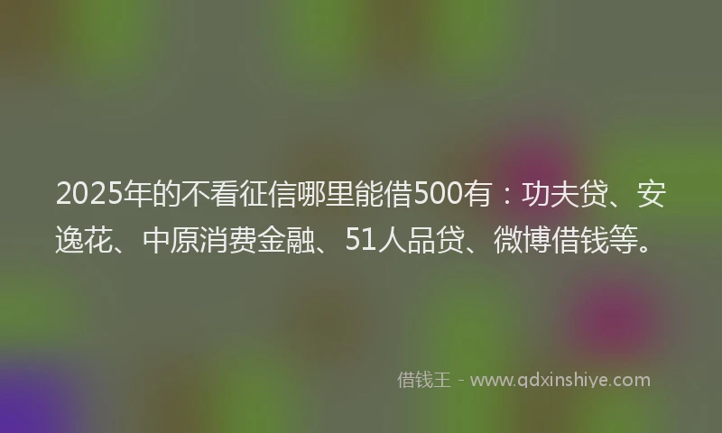2025年的不看征信哪里能借500有：功夫贷、安逸花、中原消费金融、51人品贷、微博借钱等。