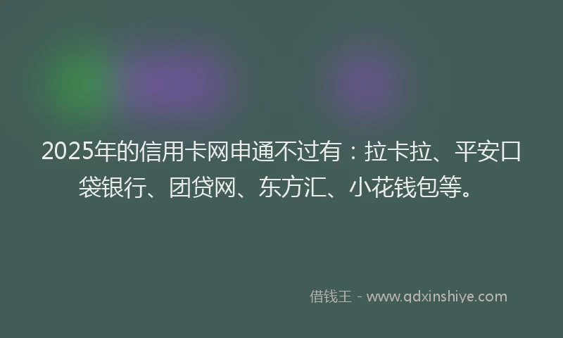 2025年的信用卡网申通不过有：拉卡拉、平安口袋银行、团贷网、东方汇、小花钱包等。