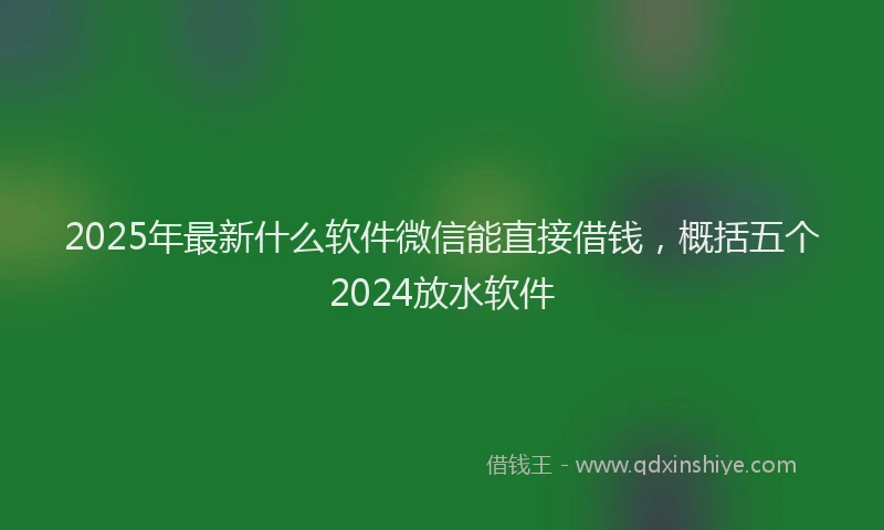 2025年最新什么软件微信能直接借钱，概括五个2024放水软件
