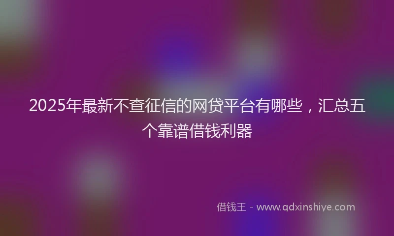 2025年最新不查征信的网贷平台有哪些，汇总五个靠谱借钱利器