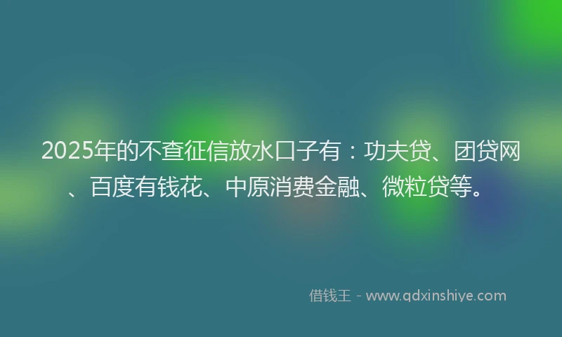 2025年的不查征信放水口子有：功夫贷、团贷网、百度有钱花、中原消费金融、微粒贷等。