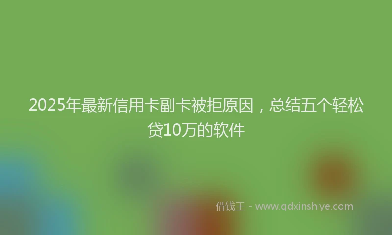 2025年最新信用卡副卡被拒原因，总结五个轻松贷10万的软件
