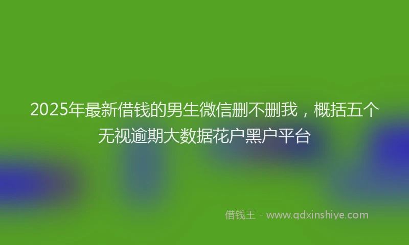 2025年最新借钱的男生微信删不删我，概括五个无视逾期大数据花户黑户平台