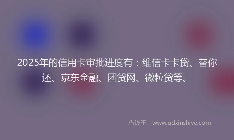 2025年的信用卡审批进度有：维信卡卡贷、替你还、京东金融、团贷网、微粒贷等。