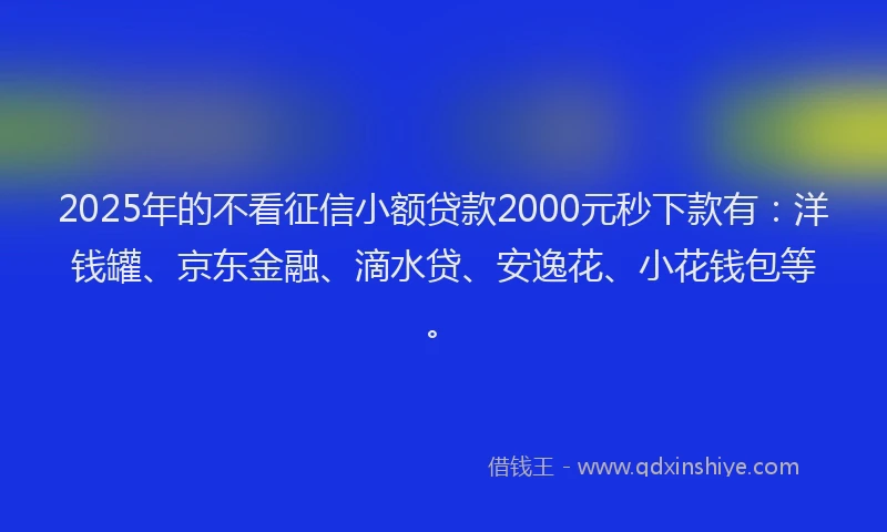 2025年的不看征信小额贷款2000元秒下款有：洋钱罐、京东金融、滴水贷、安逸花、小花钱包等。